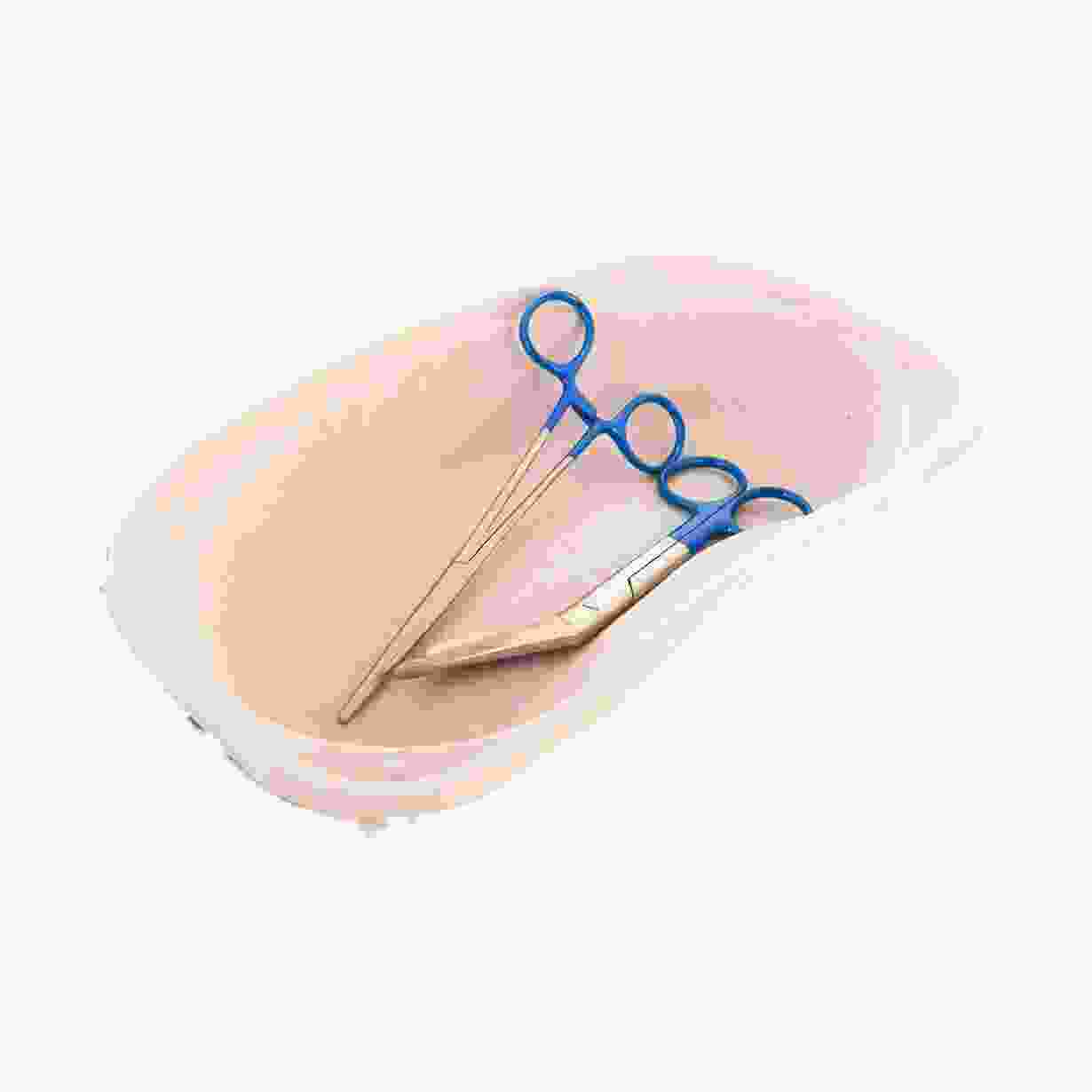 Stainless Scissors Blue